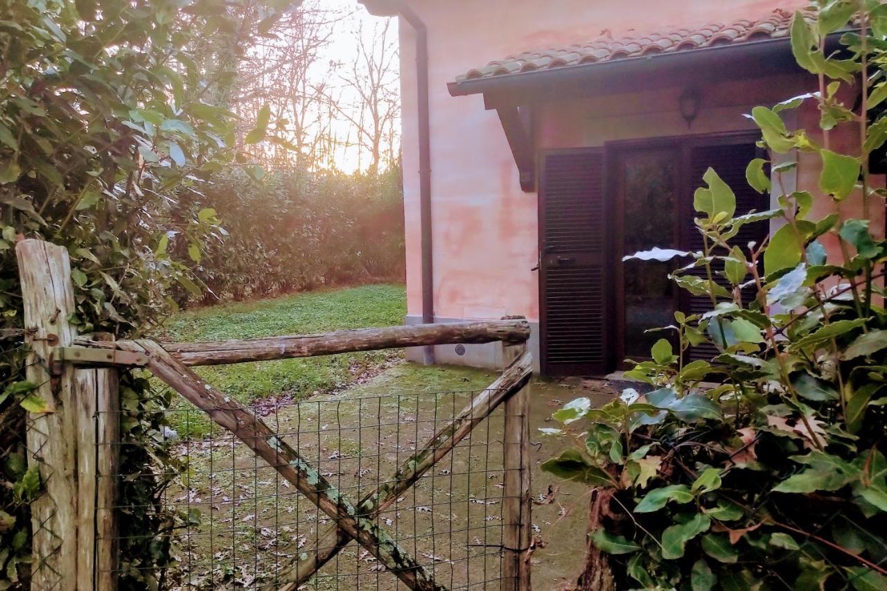 Agriturismo Tenuta Monte La Guardia Castel Giuliano ภายนอก รูปภาพ